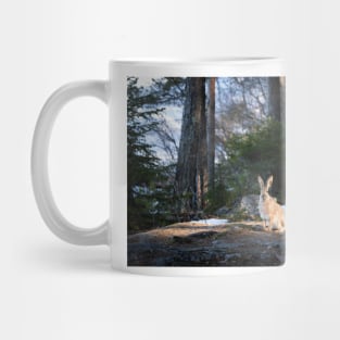 Lepus europaeus in the forest Mug